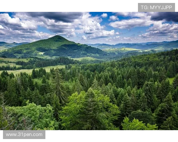 绿色森林与牛津联的激战谁能在赛场上笑到最后