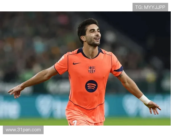 费兰托雷斯的崛起之路：从青训小将到足球巨星的华丽转身